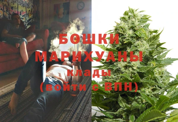 эйфоретик Белокуриха