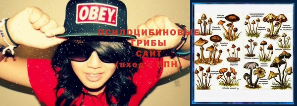 эйфоретик Белокуриха